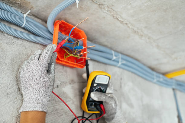 Best Ceiling Fan Installation Electrician  in Hoyt Lakes, MN